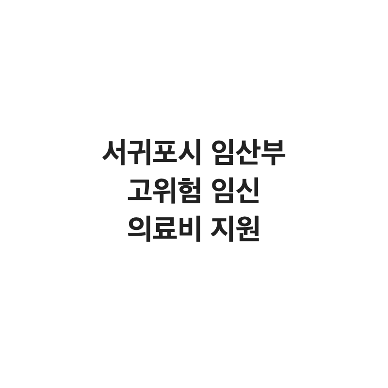 제주 서귀포시 임산부 고위험 임신 의료비 지원 총정리